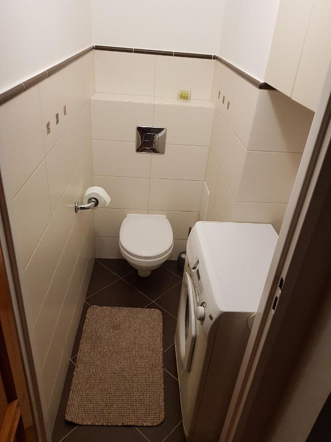 Apartament Janowskie Blonia ルミア エクステリア 写真