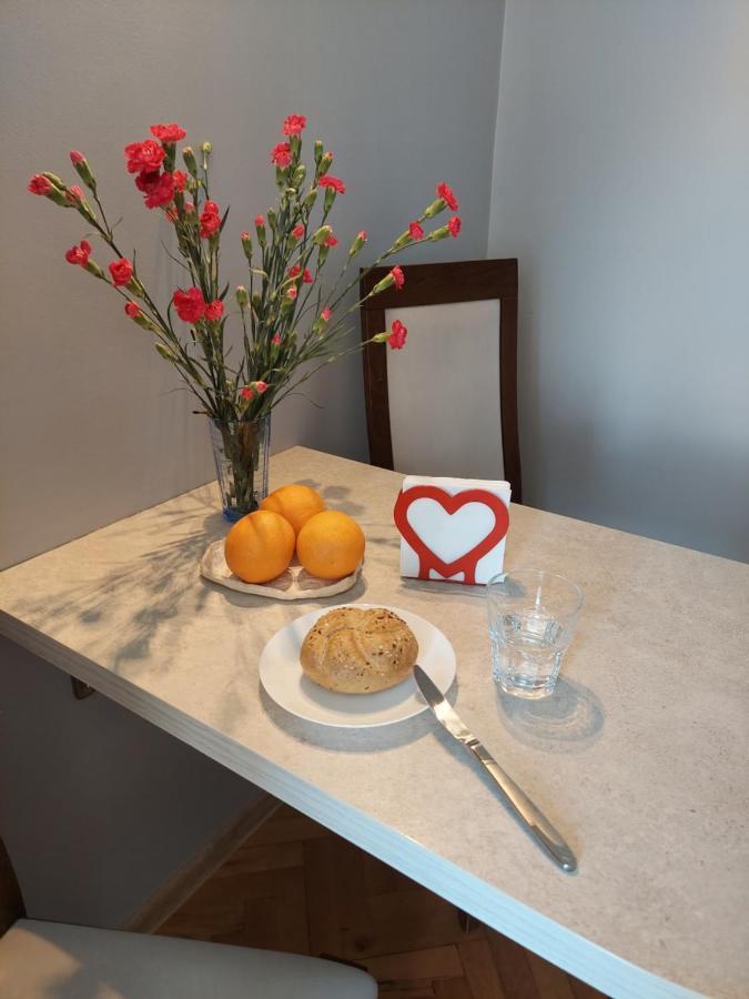 Apartament Janowskie Blonia ルミア エクステリア 写真